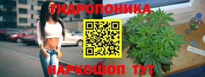 соль ск Кулебаки