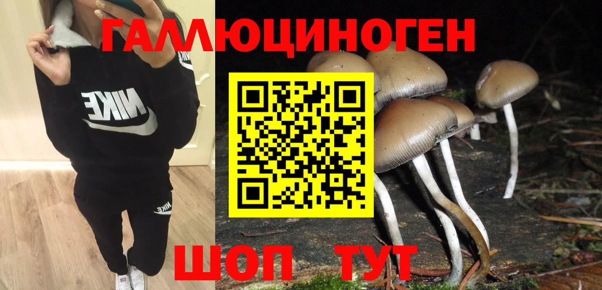 Псилоцибиновые грибы GOLDEN TEACHER  Вход с VPN  Фролово 